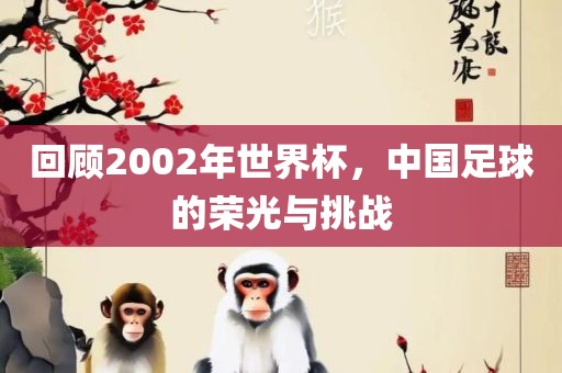 回顾2002年世界杯，中国足球的荣光与挑战