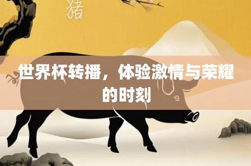 世界杯转播，体验激情与荣耀的时刻