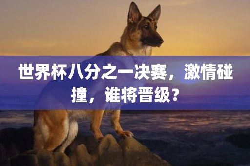 世界杯八分之一决赛，激情碰撞，谁将晋级？