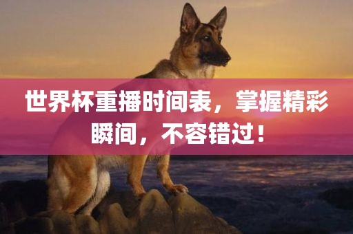 世界杯重播时间表，掌握精彩瞬间，不容错过！