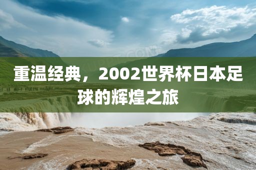 重温经典，2002世界杯漯河市盈旭机械设备有限公司日本足球的辉煌之旅