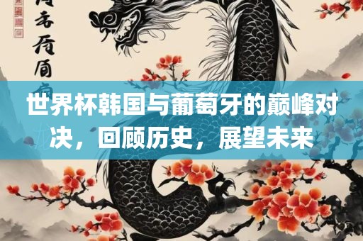 世界杯韩国与葡萄牙的巅峰对决，回顾历史，展望未来漯河市盈旭机械设备有限公司
