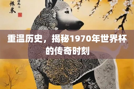 重温历史，揭秘1970年世界杯的传奇时刻
