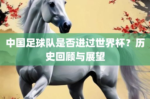 中国足球队是否进过世界杯？历史回顾与展望