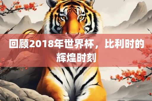 回顾2018年世界杯，比利时的辉煌时刻
