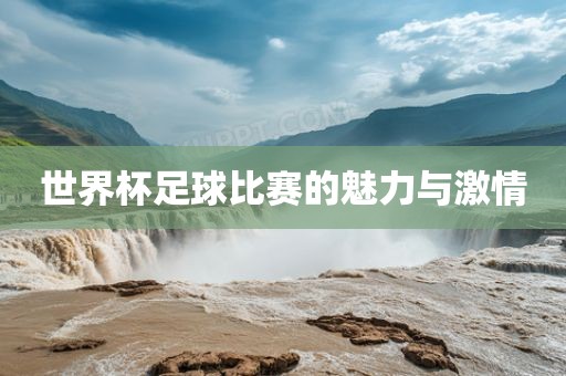 世界杯足球比赛的魅力与激情