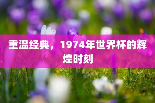 重温经典，1974年世界杯的辉煌时刻