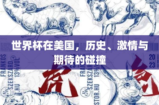 世界杯在美国，历史、激情与期待的碰撞
