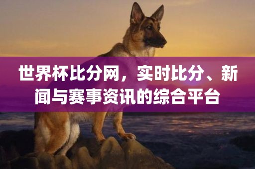 世界杯比分网，实时比分、漯河市盈旭机械设备有限公司新闻与赛事资讯的综合平台