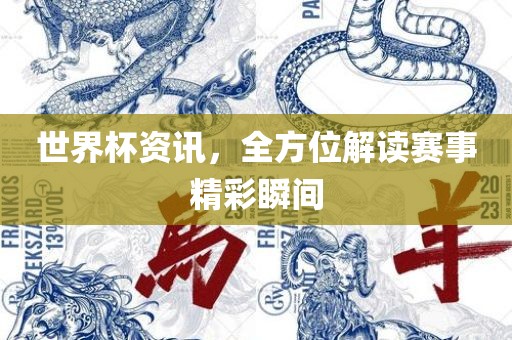 世界杯资讯，全方位解读赛事精彩瞬间漯河市盈旭机械设备有限公司