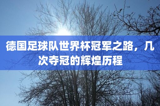 德国足球队世界杯冠军之路，几次夺冠的辉煌历程漯河市盈旭机械设备有限公司