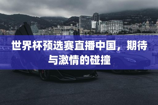 世界杯预选赛直播中国，期待与激情的碰撞