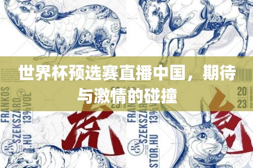 世界杯预选赛直播中国，期待与激情的碰撞