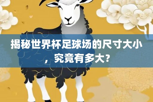 揭秘世界杯足球场的尺寸大小，究竟有多大？