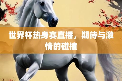 世界杯热身赛直播，期待与激情的碰撞