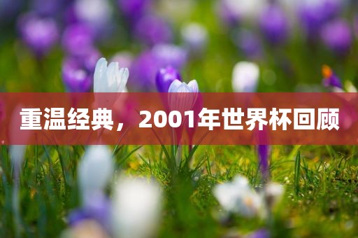 重温经典，2001年世界杯回顾漯河市盈旭机械设备有限公司