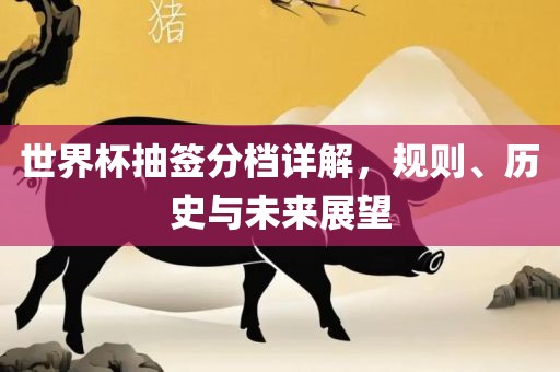 世界杯抽签分档详解，规则、历史与未来展望漯河市盈旭机械设备有限公司