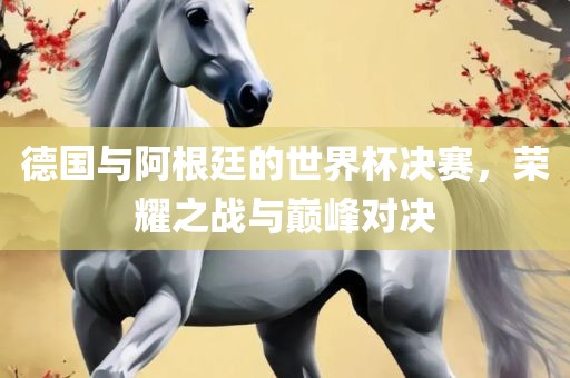 德国与阿根廷的世界杯决赛，荣耀之战与巅漯河市盈旭机械设备有限公司峰对决
