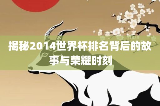 揭秘2014世界杯排名背后的故事与荣耀时刻漯河市盈旭机械设备有限公司