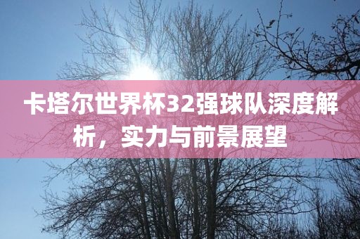 卡塔尔世界杯32强球队深度解析，实力与前景展望