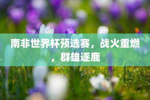 南非世界杯预选赛，战火重燃，群雄逐鹿