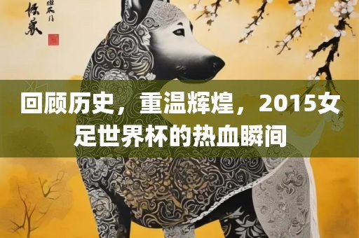 回顾历史，重温辉煌，2015女足世界杯的热血瞬间漯河市盈旭机械设备有限公司