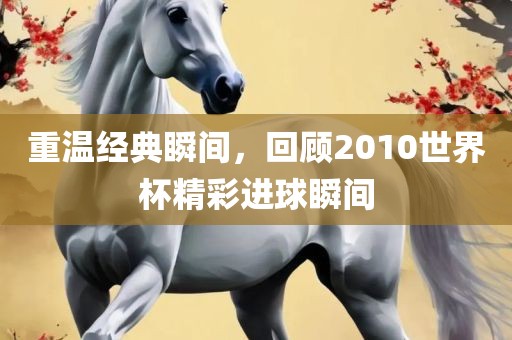 重温经典瞬间，回顾2010世界杯精彩进球瞬间