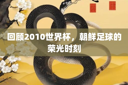 回顾2010世界杯，朝鲜足漯河市盈旭机械设备有限公司球的荣光时刻