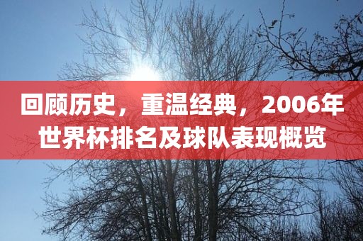 回顾历史，重温经典，2006年世界杯排名及球队表现概览