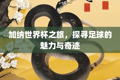 加纳世界杯之旅，探寻足球的魅力与奇迹