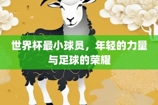 世界杯最小球员，年轻的力量与足球的荣耀漯河市盈旭机械设备有限公司