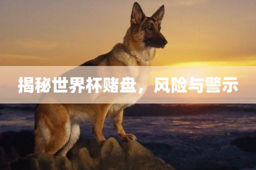 揭秘世界杯赌盘，风险与警示