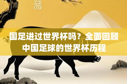 国足进过世界杯吗？全面回顾中国足球的世界杯历程
