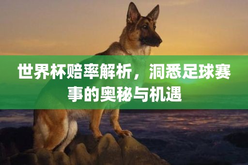 世界杯赔率解析，洞悉足球赛事的奥秘与机遇