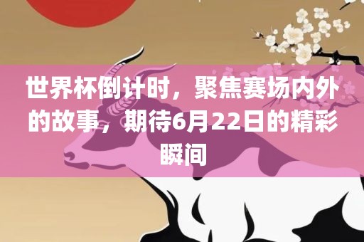 世界杯倒计时，聚焦赛场内外的故事，期待6月22日的精彩瞬间