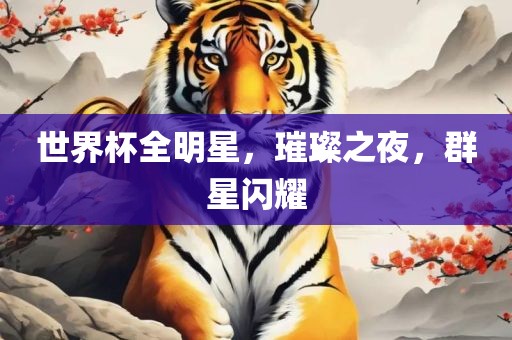 世界杯全明星，璀璨之夜，群星闪耀