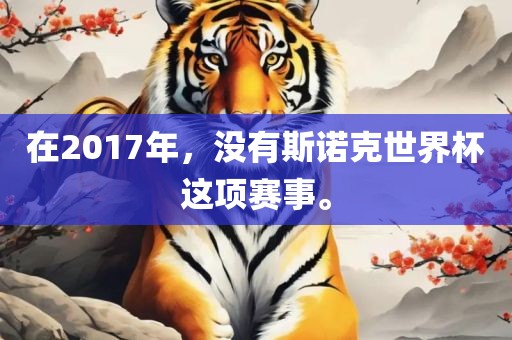 在2017年，没有斯诺克世界杯这项赛事。