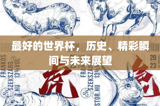 最好的世界杯，历史、精彩瞬间与未来展望漯河市盈旭机械设备有限公司