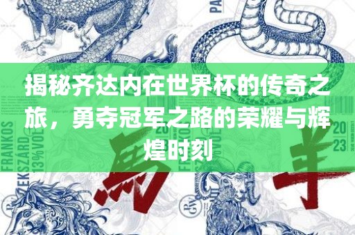 揭秘齐达内在世界杯的传奇之旅，勇夺冠军之路的荣耀与辉煌时刻