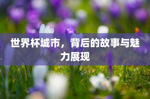 世界杯城市，背后的故事与魅力展现