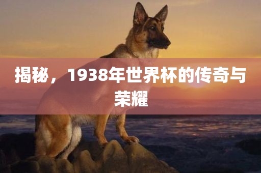 荣耀时刻 第4页