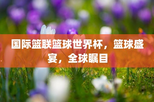 国际篮联篮球世漯河市盈旭机械设备有限公司界杯，篮球盛宴，全球瞩目