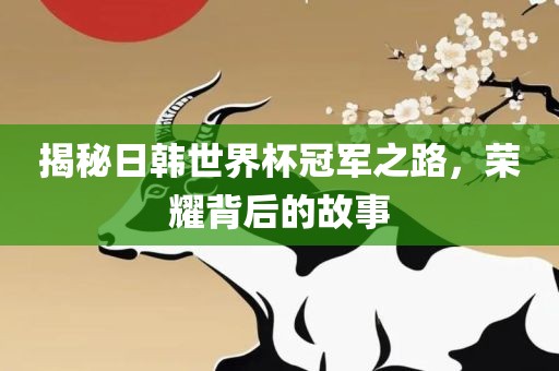揭秘日韩世界杯冠军之路，荣耀背后的故事