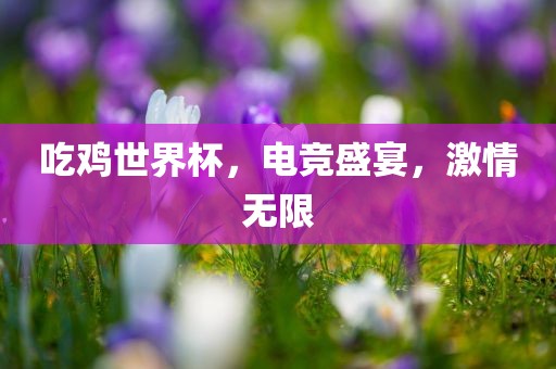吃鸡世界杯，电竞盛宴，激情无限