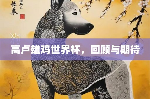 高卢雄鸡世界杯，回顾与期待