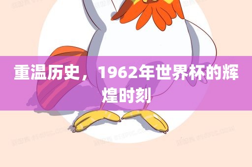 重温历史，1962年世界杯的辉煌时刻漯河市盈旭机械设备有限公司