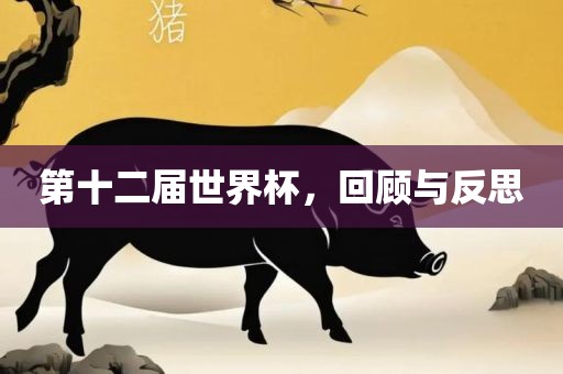 第十二届世界杯，回顾与反思