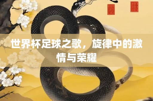 世界杯足球之歌，旋律中的激情与荣耀