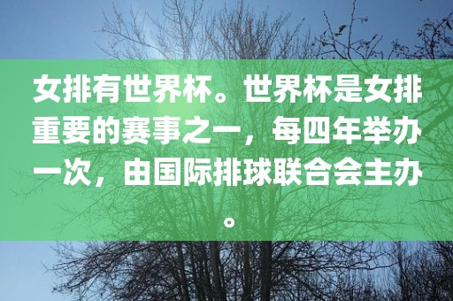 女排有世界杯。世界杯是女排重要的赛事之一，每四年举办一次，由国际排球联合会主办。