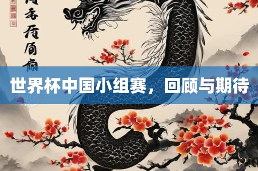 世界杯中国小组赛，回顾与期待
